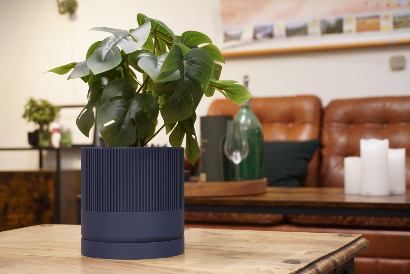 Bredt billede af blå Seedling urtepotteskjuler i en stue.