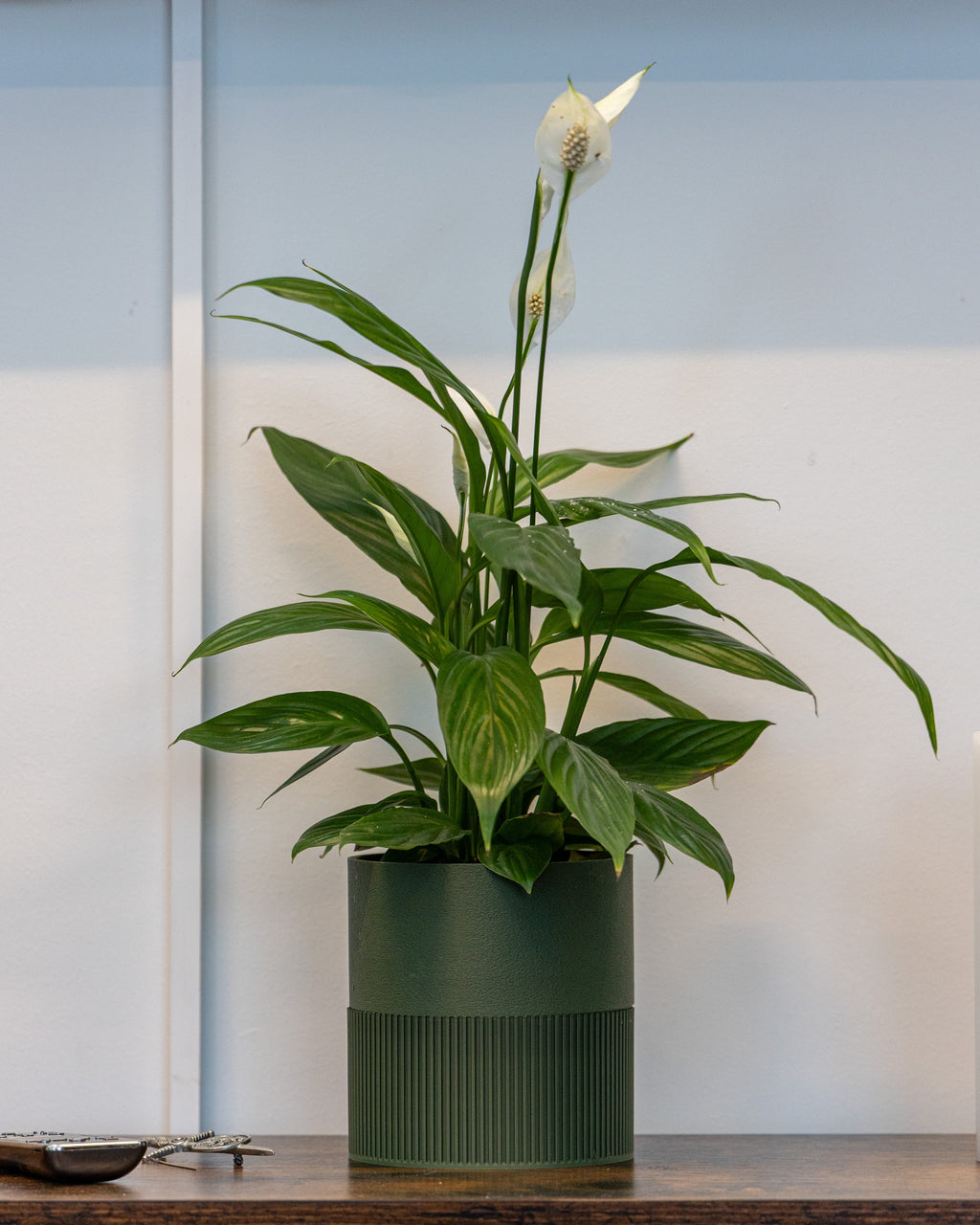 Duo grøn Ø13cm
