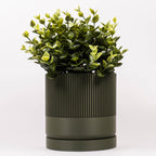 Grøn Seedling urtepotteskjuler med hvid studie baggrund