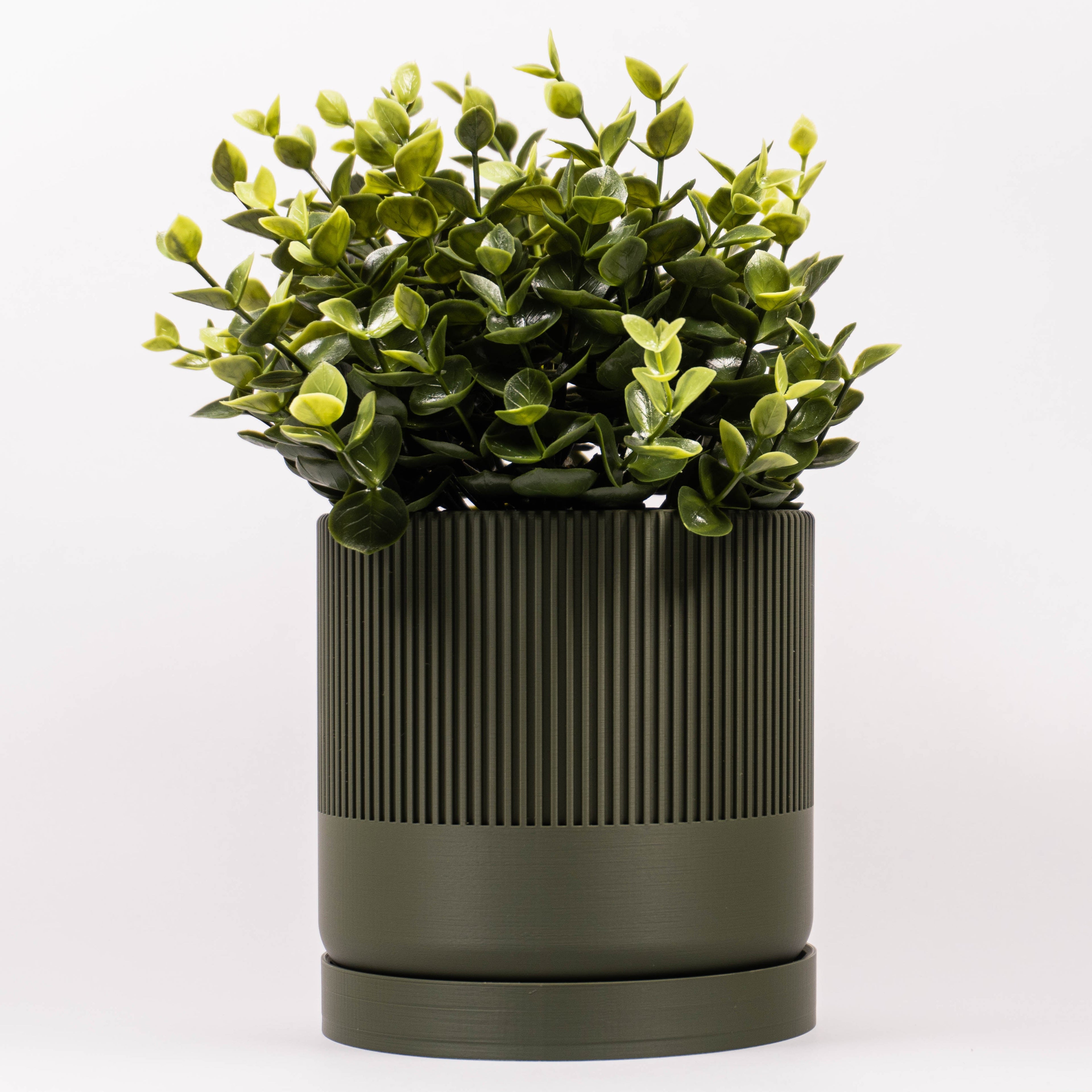 Grøn Seedling urtepotteskjuler med hvid studie baggrund