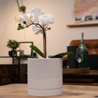 Hvid Mundane Seedling potteskjuler til planter på et bord