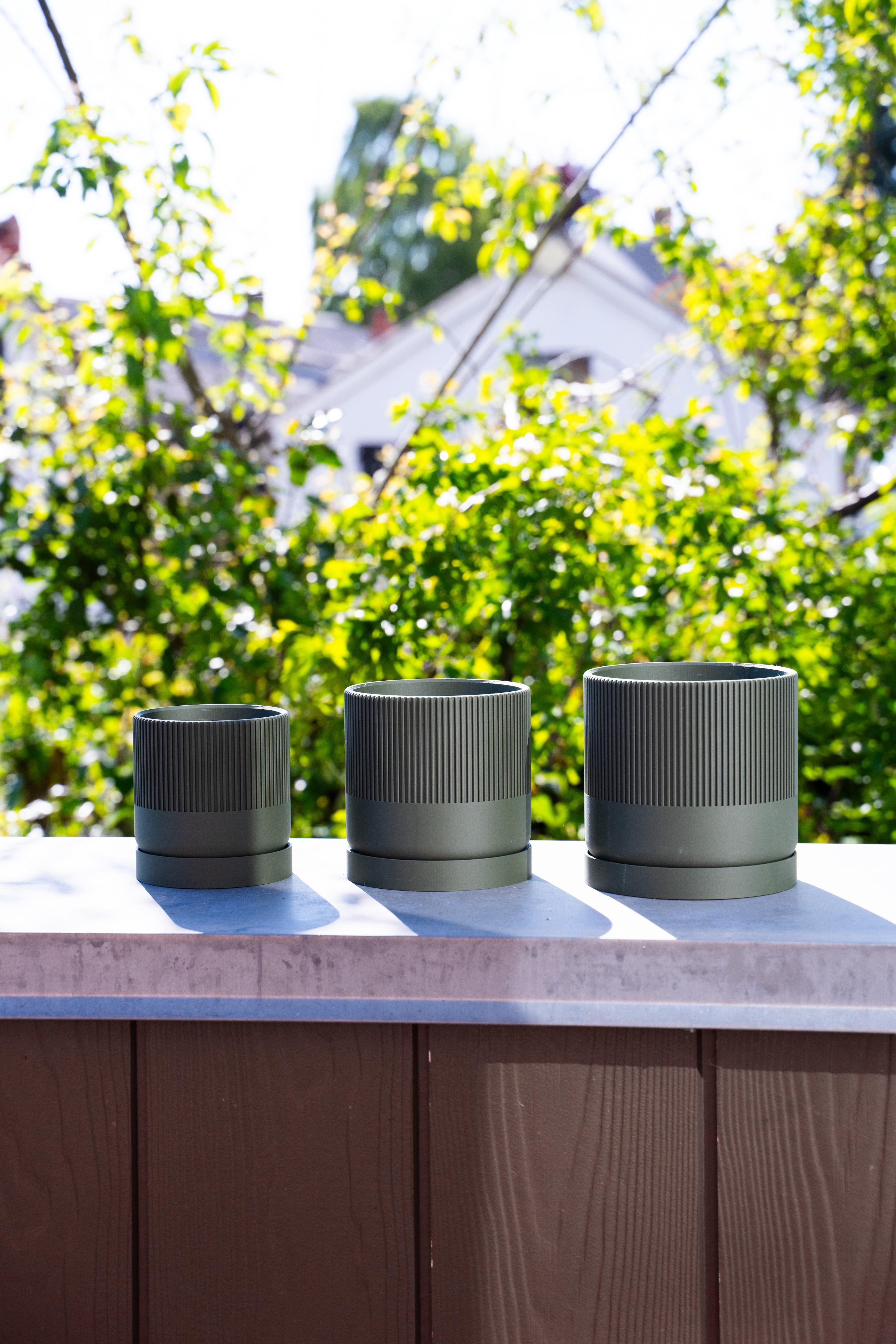 Seedling grøn Ø11cm