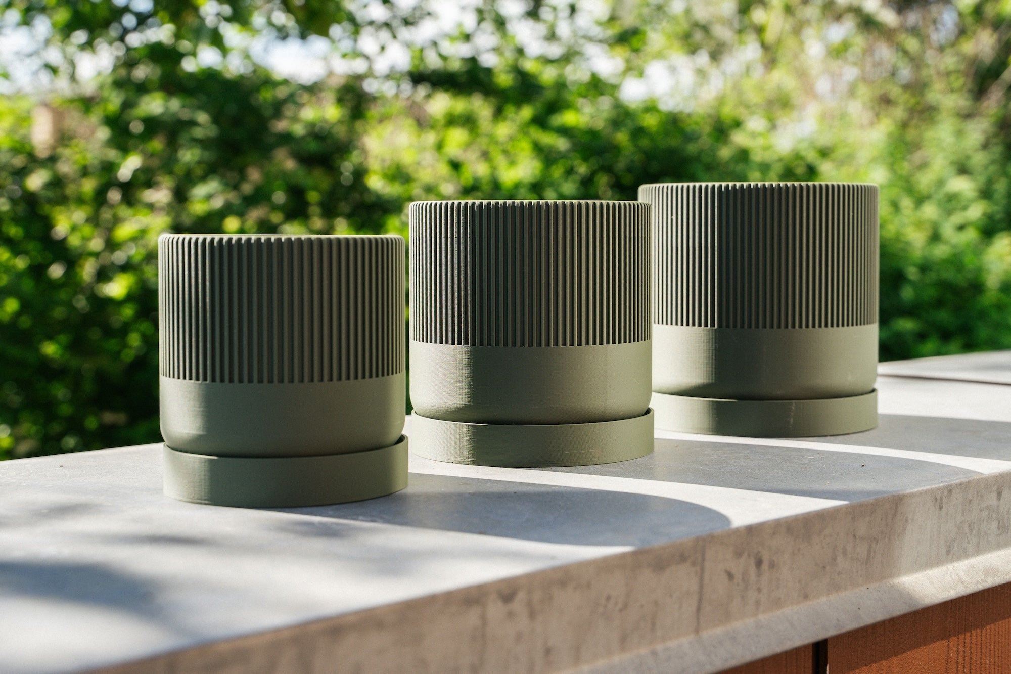 Seedling grøn Ø13cm