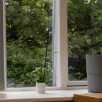 Stemningsbilled af en hvid seedling urtepotteskjuler 6cm i en vindueskarm med natur i baggrunden