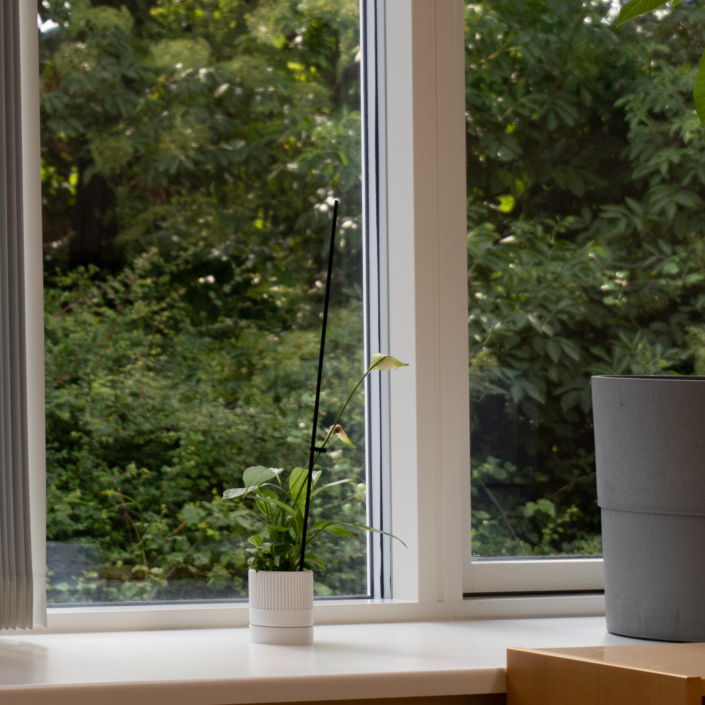 Stemningsbilled af en hvid seedling urtepotteskjuler 6cm i en vindueskarm med natur i baggrunden