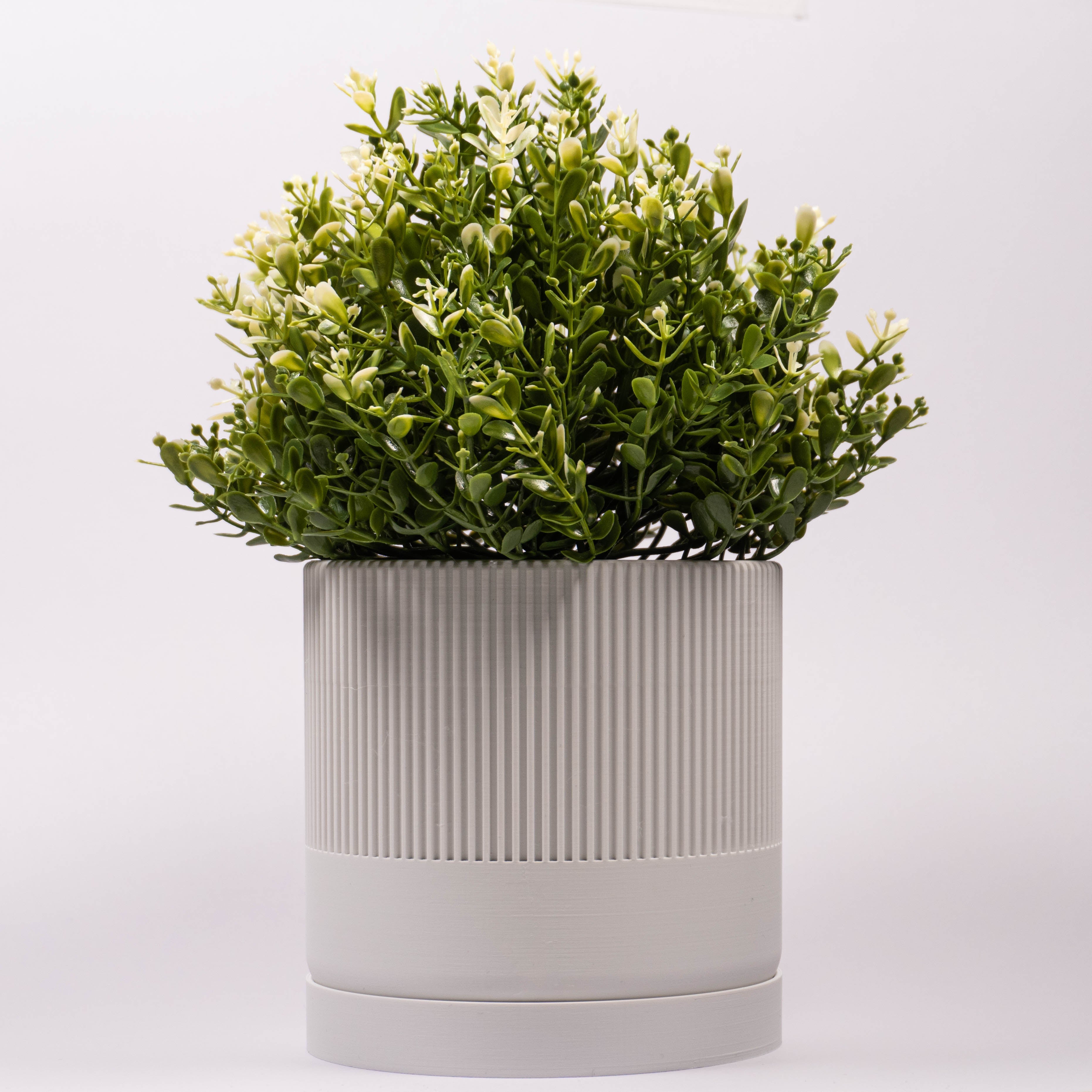 Hvid Mundane Seedling urtepotteskjuler med plante