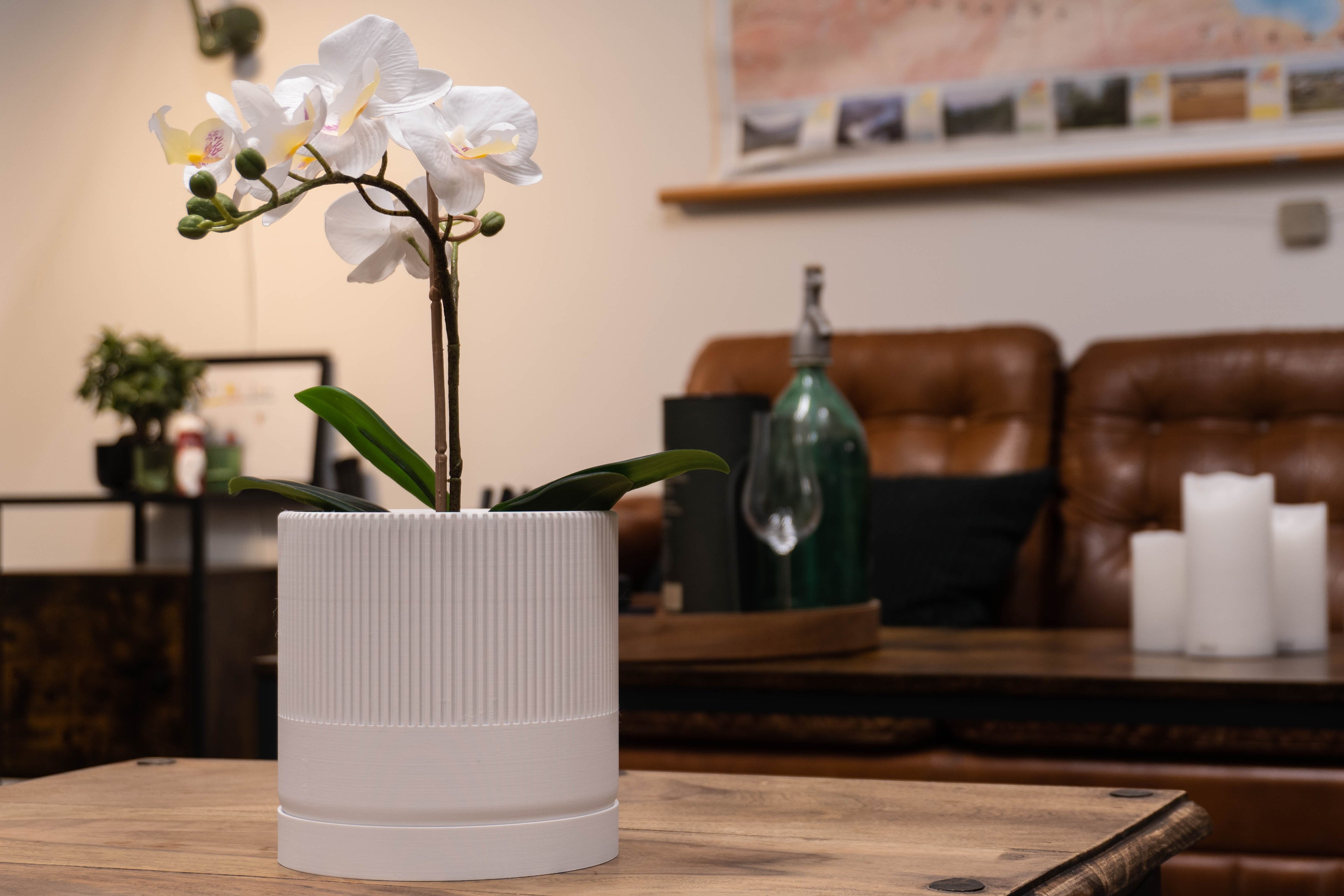 Hvid Mundane Seedling urtepotteskjuler med en orkidé i en stue