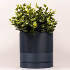 Blå Mundane Seedling urtepotteskjuler med plante