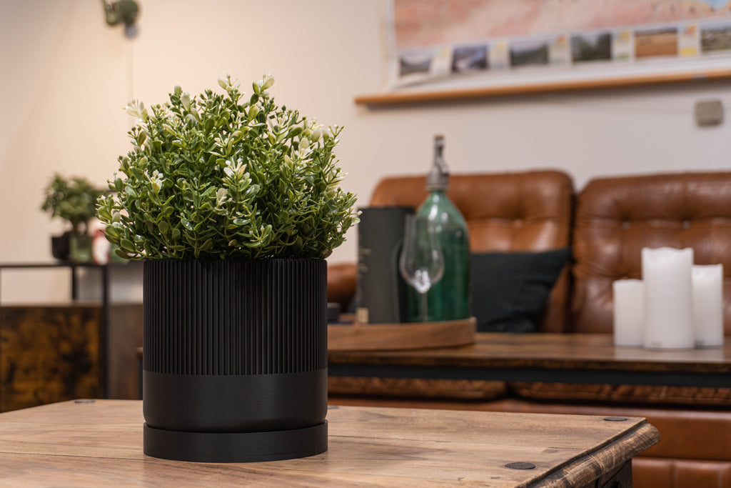 Sort Mundane Seedling urtepotteskjuler på et bord