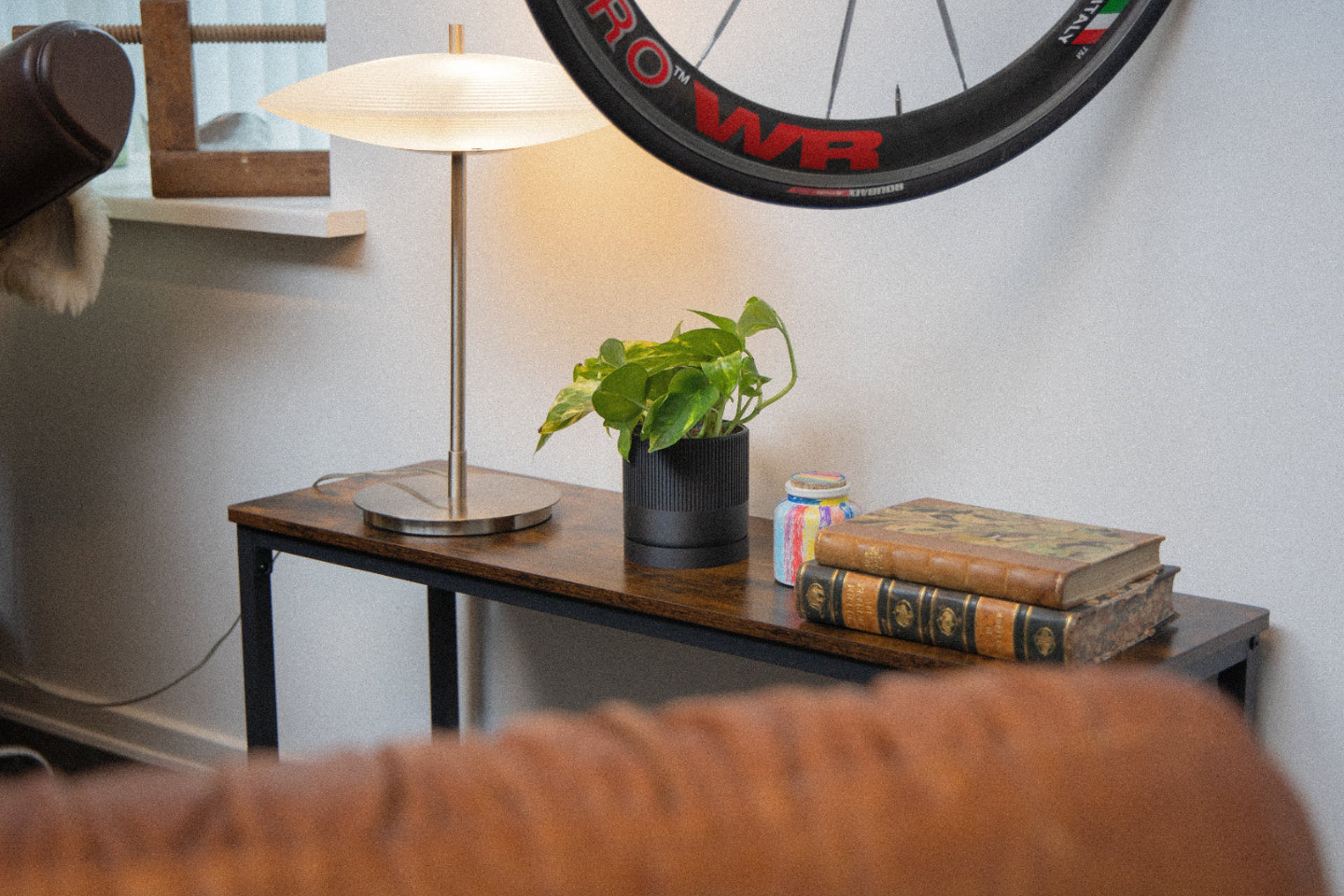 Billede af en sort seedling urtepotteskjuler på et bord ved en lampe og nogle bøger